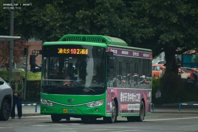 800BUS