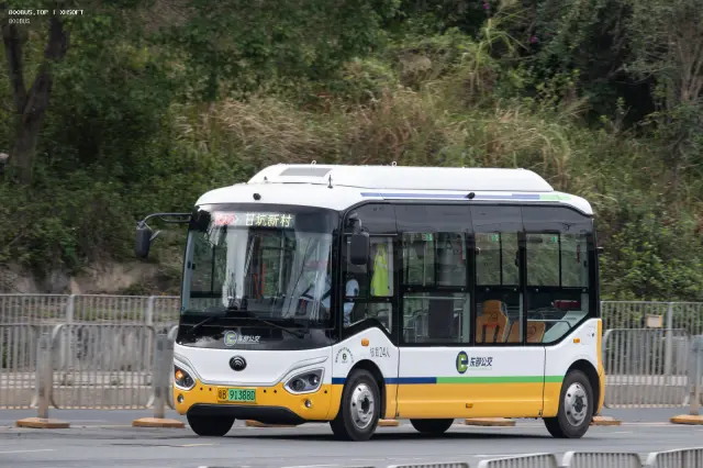 800BUS