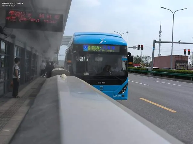 800BUS