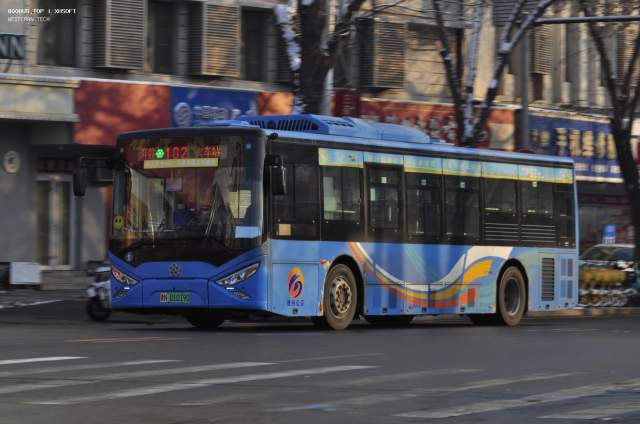 800BUS