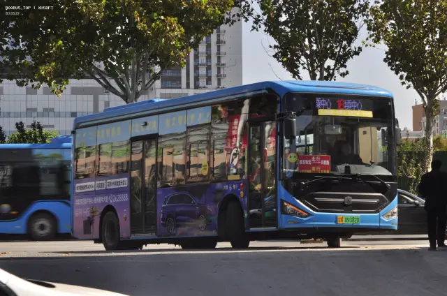 800BUS