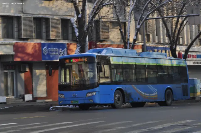 800BUS