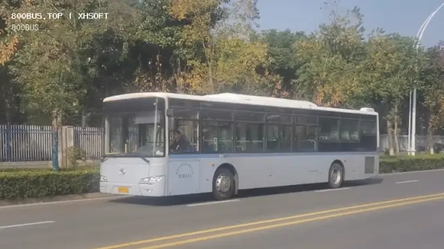 800BUS
