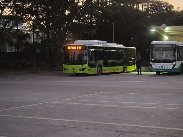 800BUS