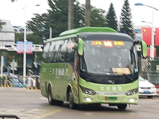 800BUS