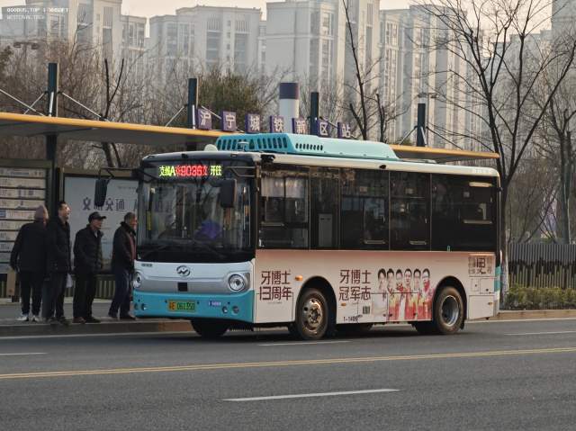 800BUS
