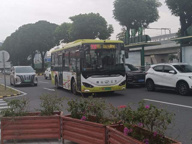 800BUS