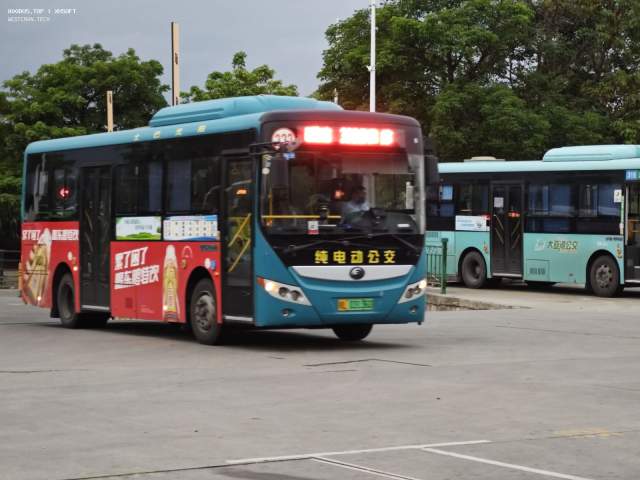 800BUS