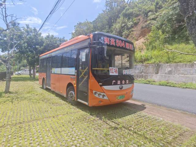 800BUS