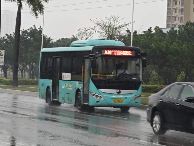 800BUS