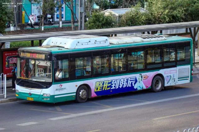 800BUS