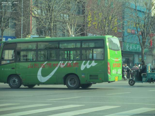 800BUS