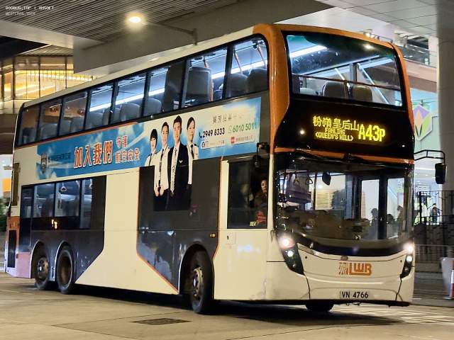800BUS
