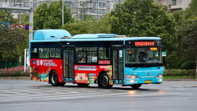 800BUS