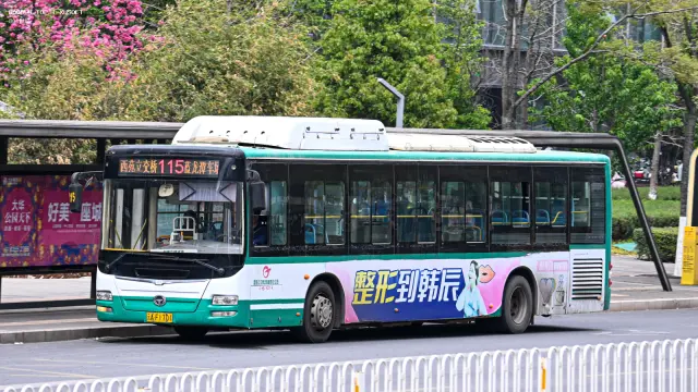 800BUS