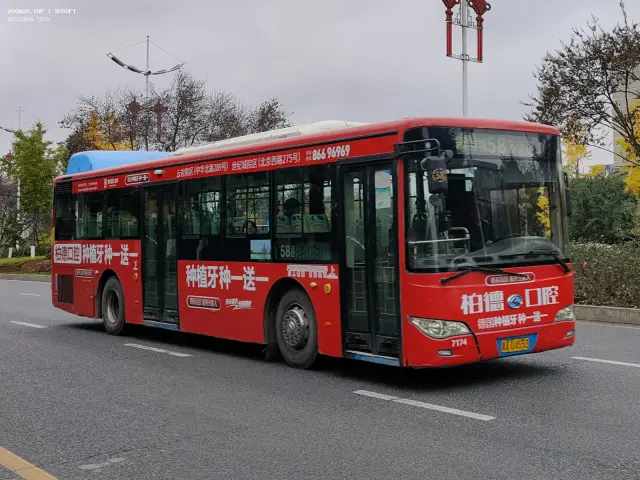 800BUS