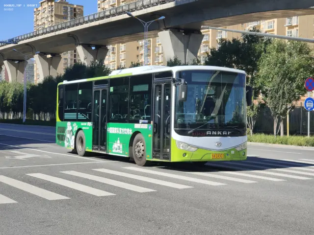 800BUS