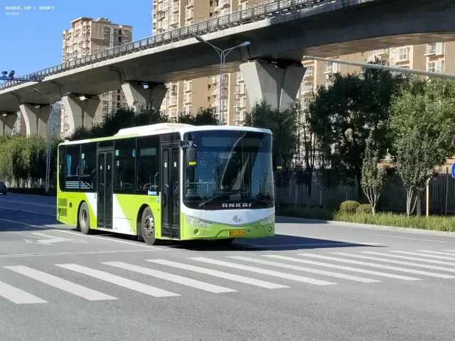 800BUS