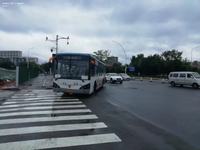 800BUS