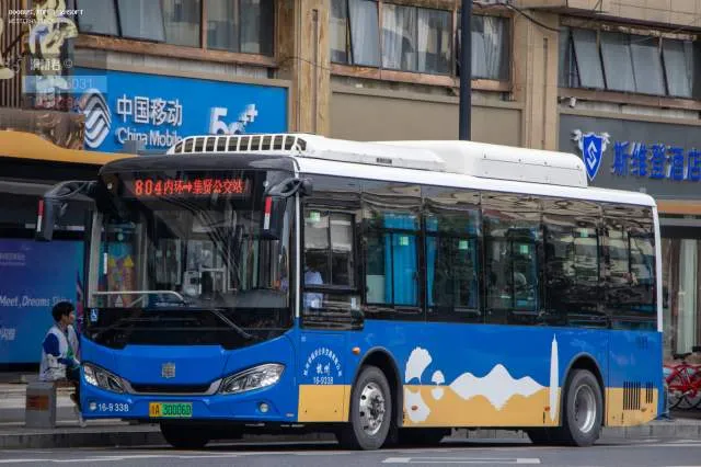 800BUS