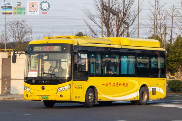 800BUS