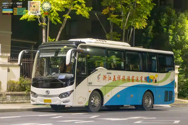 800BUS