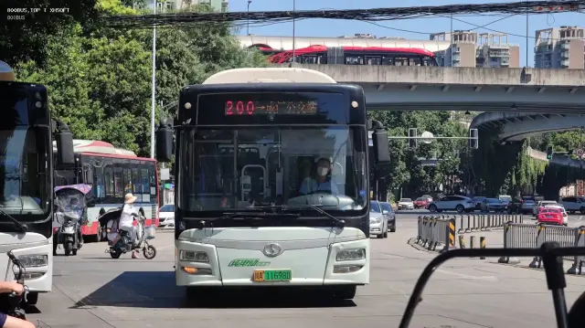 800BUS