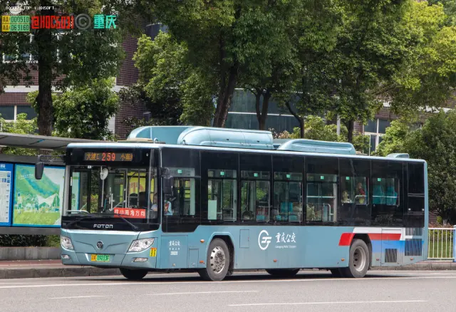 800BUS