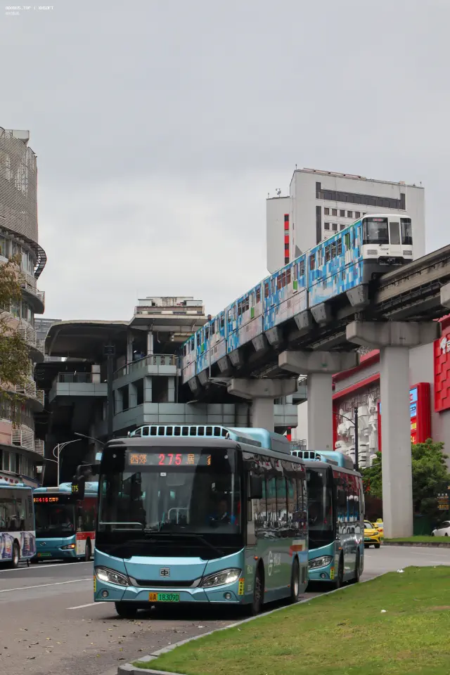 800BUS