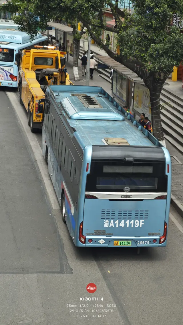 800BUS
