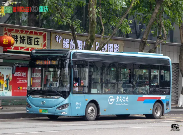 800BUS