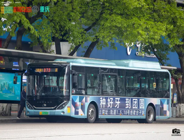 800BUS