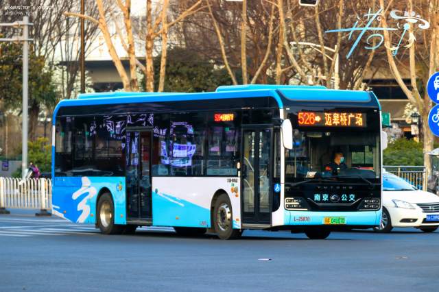 800BUS