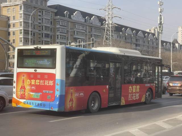 800BUS