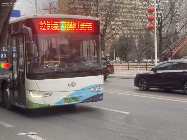 800BUS