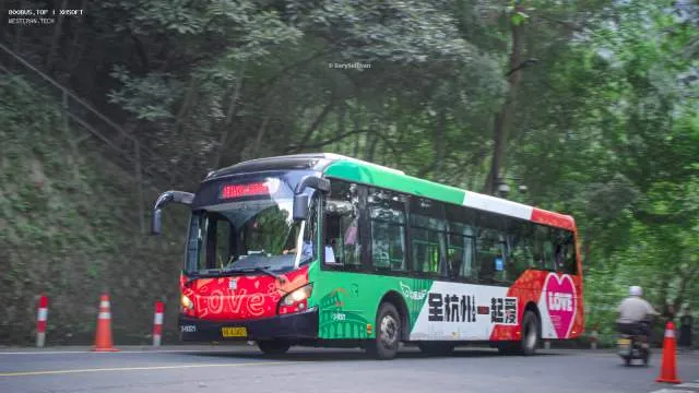 800BUS