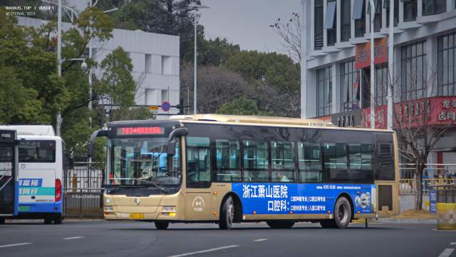 800BUS