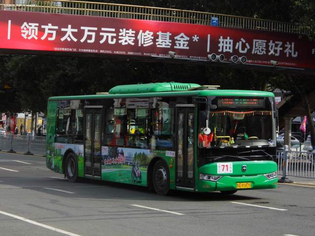 800BUS