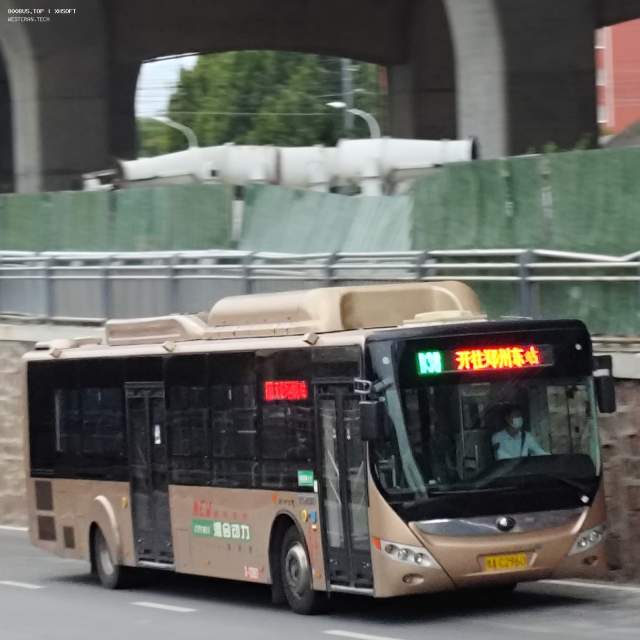 800BUS