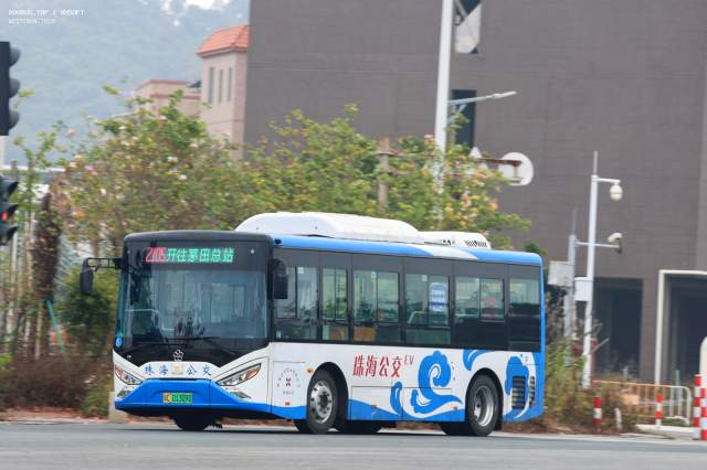 800BUS