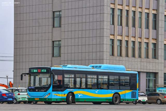 800BUS