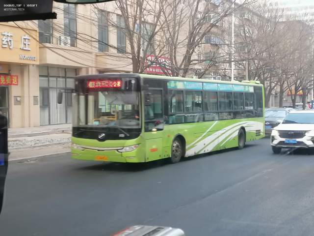 800BUS