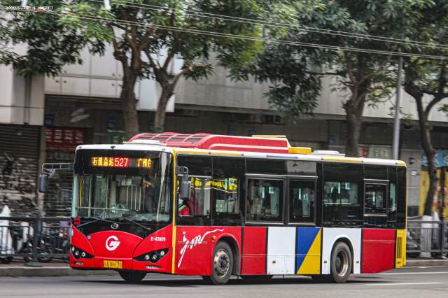 800BUS