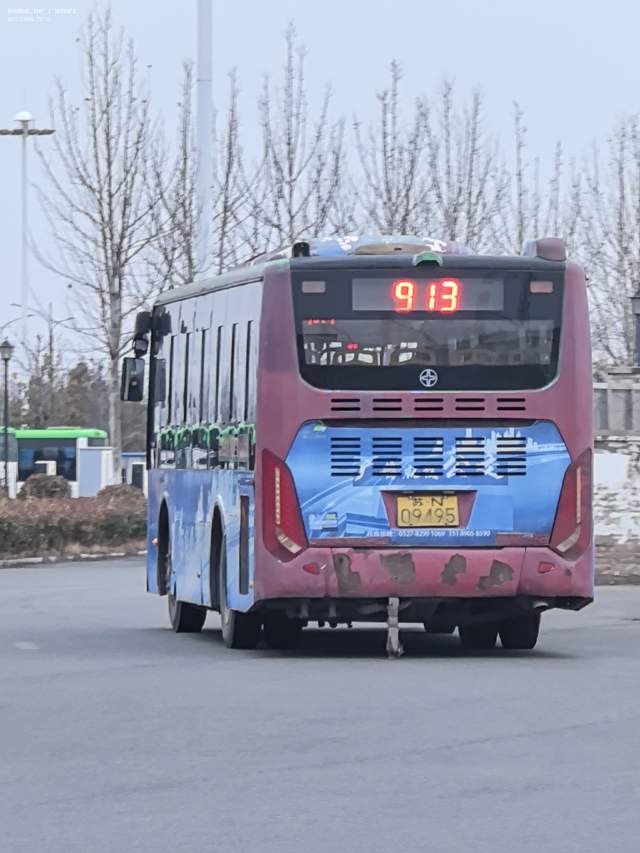 800BUS