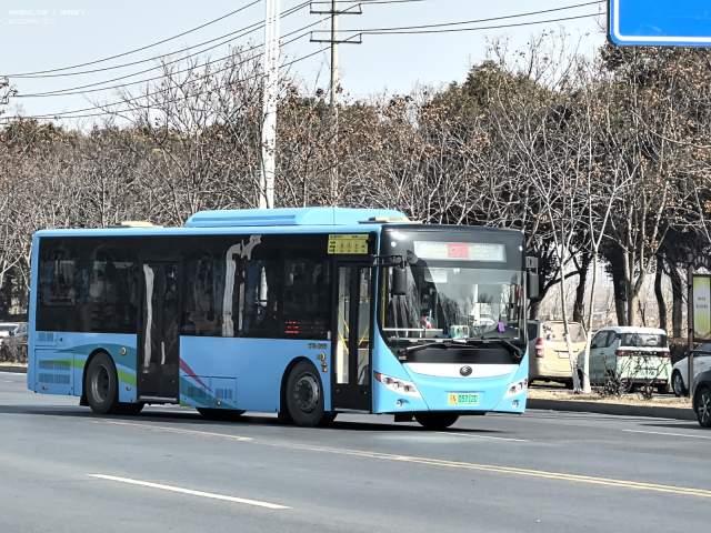 800BUS