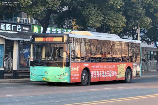800BUS