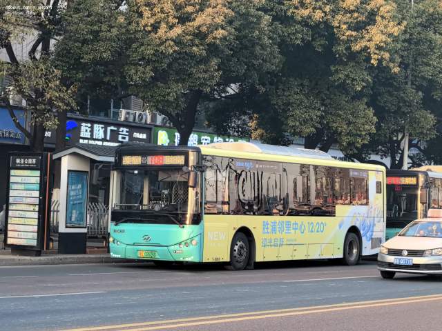 800BUS