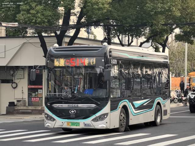 800BUS