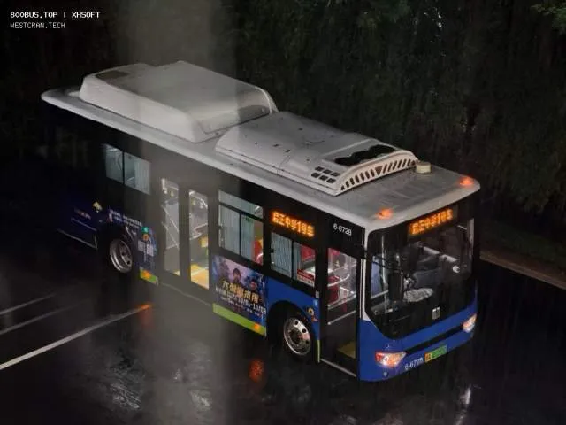 800BUS