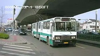 800BUS